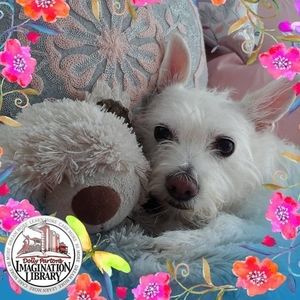 Meet your Posher, Terri